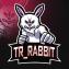 Nouveau Discord communautaire - dernier message par TR_Rabbit