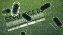 Test : Splice (PC, Mac)