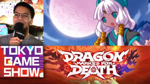 TGS 2018 : Rudy a joué à Dragon Marked for Death sur Switch, un A-RPG au style rétro