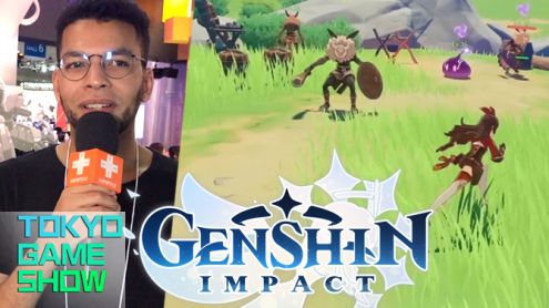 TGS 2019 : Rudy a joué à Genshin Impact, le clone chinois de Zelda Breath of the Wild sur PS4