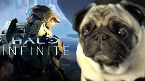 L'image du jour : Ce petit chien que vous allez entendre dans Halo Infinite L'image du jour : Ce petit chien que vous allez entendre dans Halo Infinite