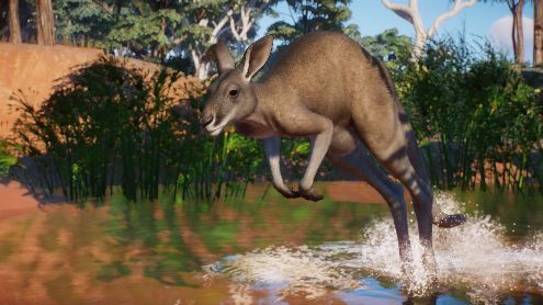 Planet Zoo dévoile son Pack Australie et ses kangourous