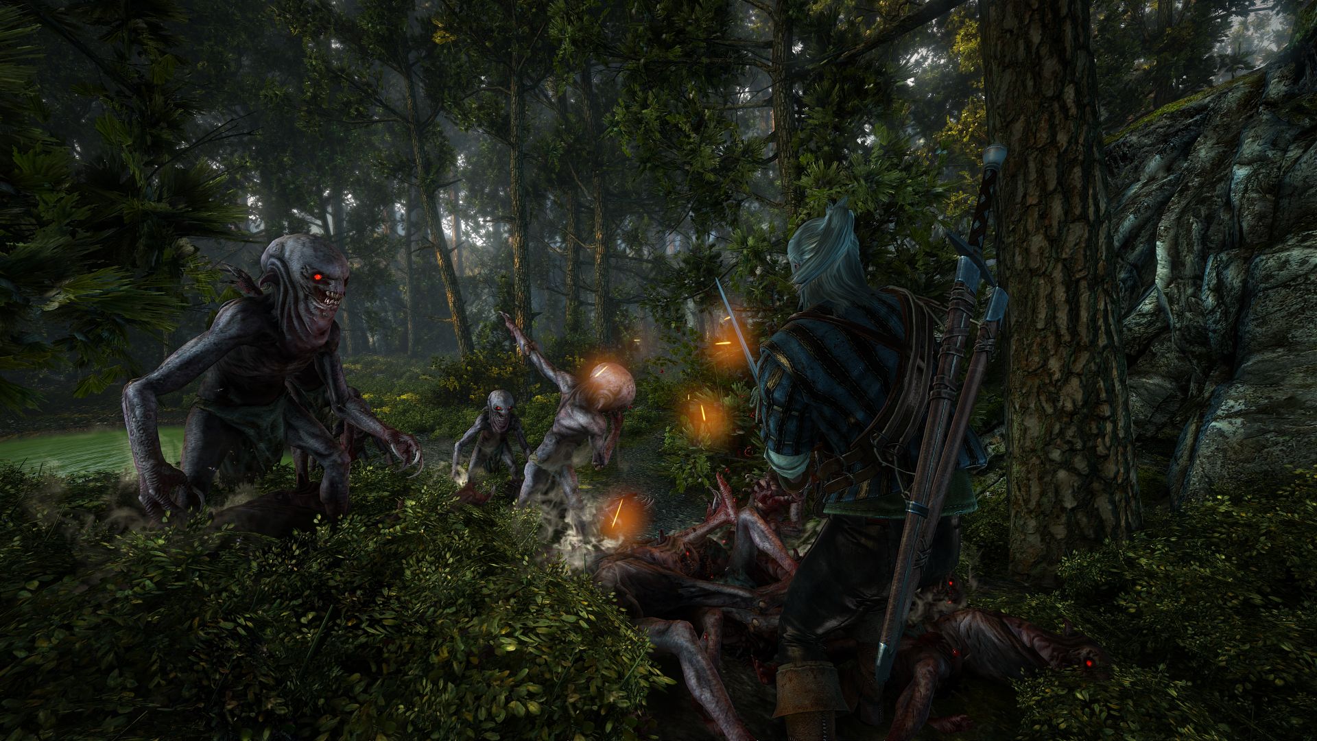 TheWitcher2-AssassinsofKings_Multi_Editeur_078.jpg
