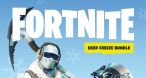 Image Fortnite Pack Froid &eacute;ternel