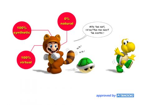 cliquez pour agrandir