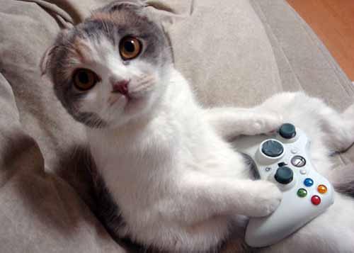 gameblog.fr