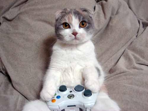 gameblog.fr