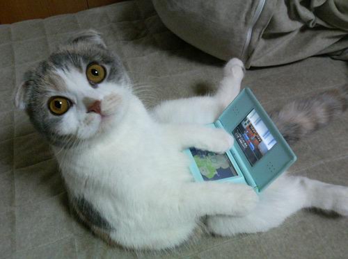 gameblog.fr