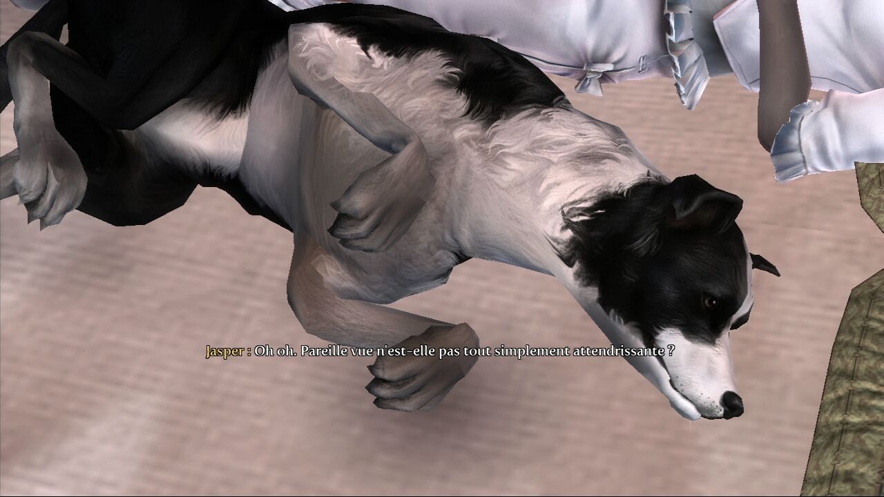 Gigot, chien fidÃ¨le