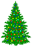 sapin