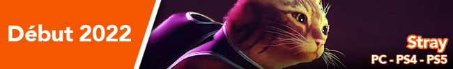 STRAY  PC - PS4 - PS5