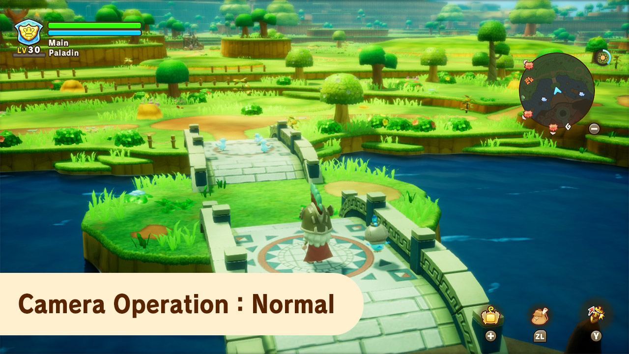 Fantasy Life i : Affichage normal de la camÃ©ra.