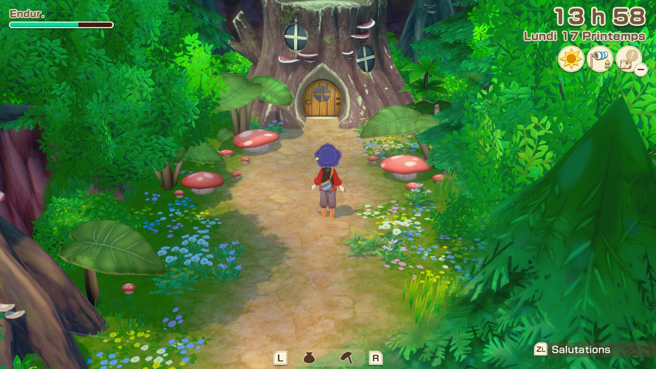 Story of Seasons Grand Bazaar : Maison des lutins de la nature. Story of Seasons Grand Bazaar : Maison des lutins de la nature.