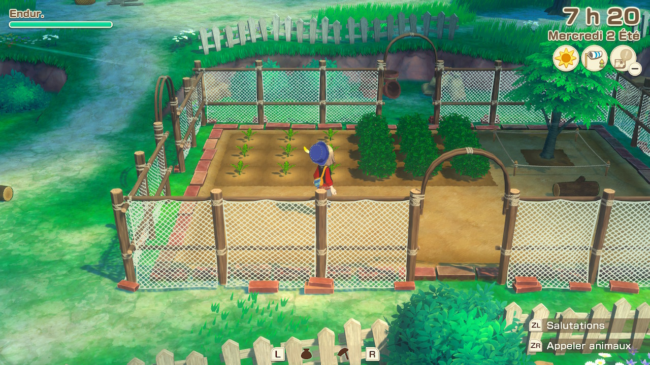 Story of Seasons Grand Bazaar : Plantations.