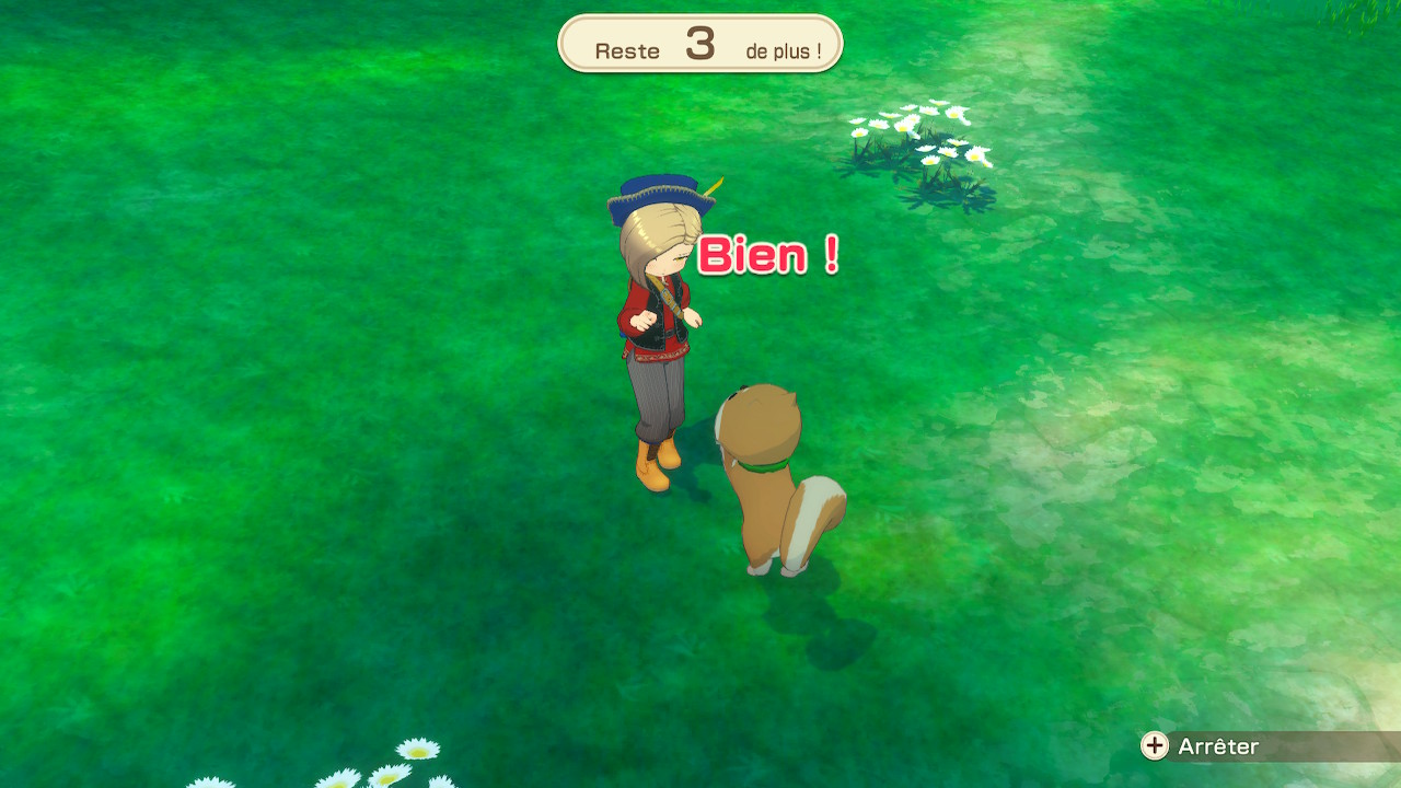 Story of Seasons Grand Bazaar : Dressage du chien.