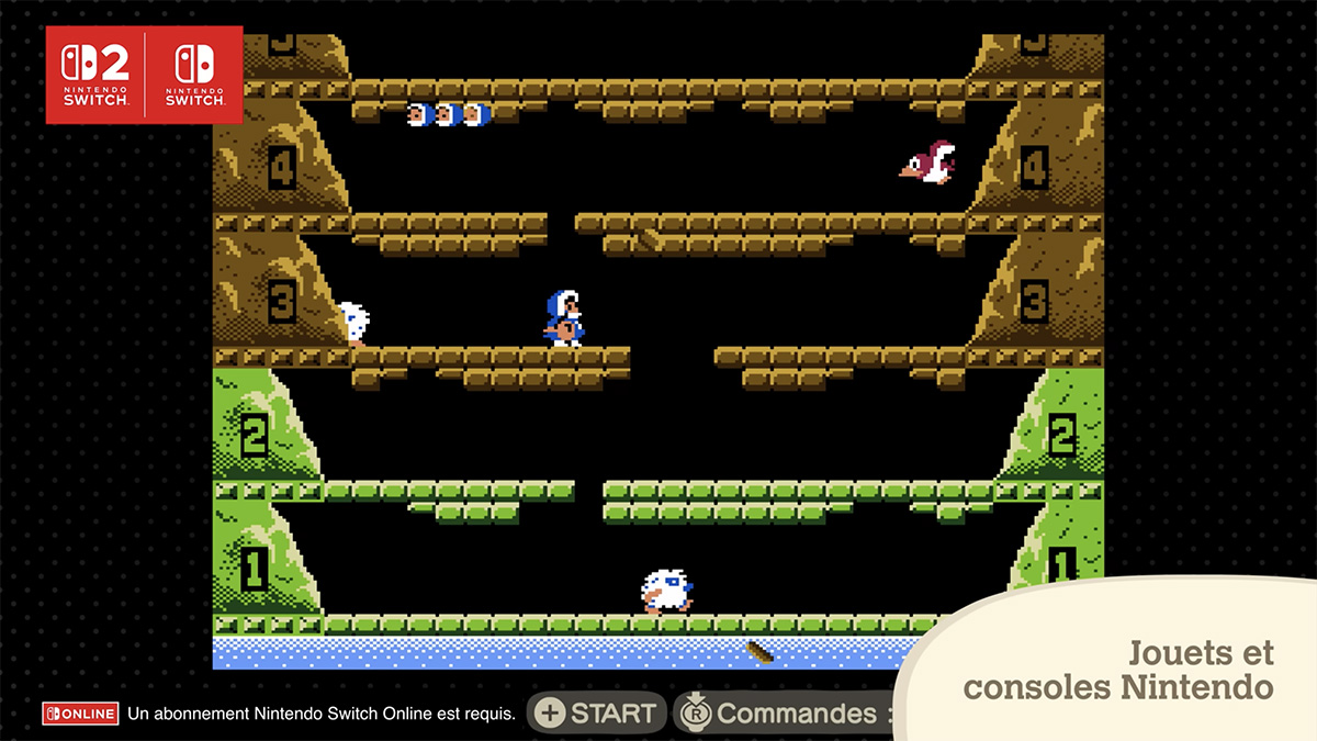 Ice Climber dans Animal Crossing New Horizons. Ice Climber dans Animal Crossing New Horizons.