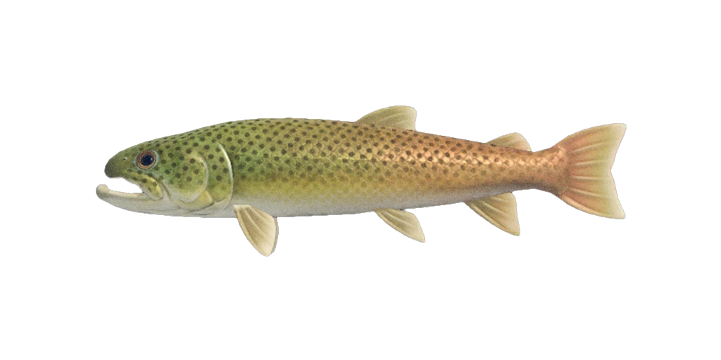 Dai Yu dans Animal Crossing New Horizons. Dai Yu dans Animal Crossing New Horizons.