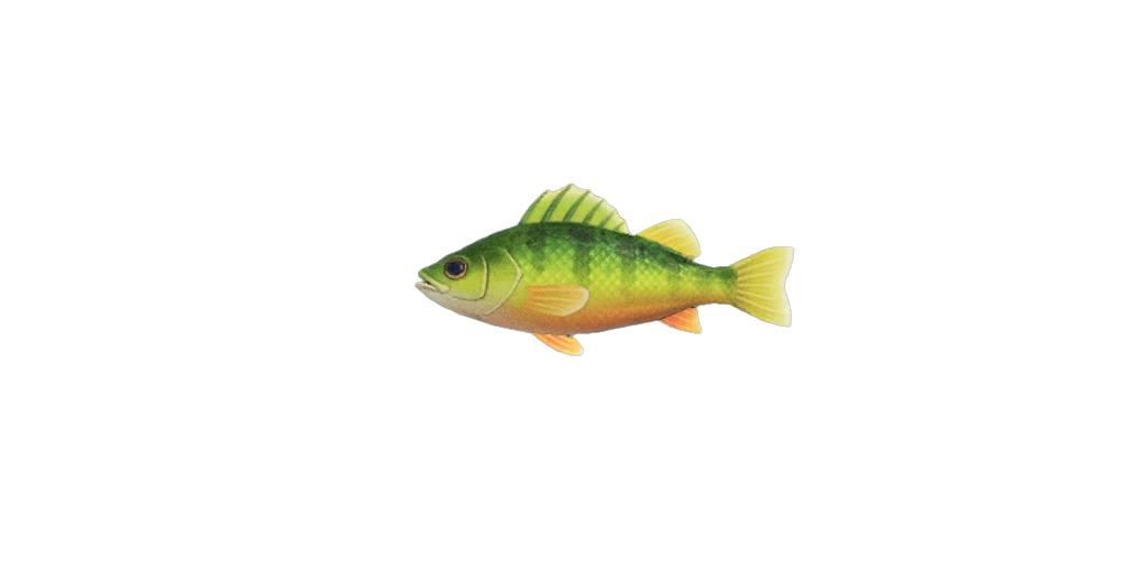 Perche jaune dans ACNH. Perche jaune dans ACNH.