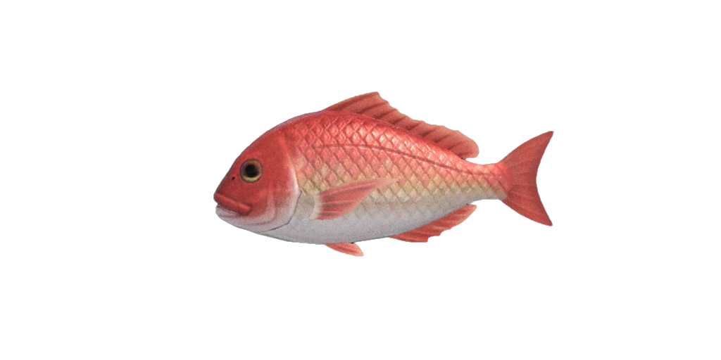 Vivaneau dans Animal Crossing New Horizons.