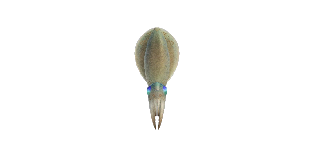 Un calmar dans Animal Crossing New Horizons. Un calmar dans Animal Crossing New Horizons.