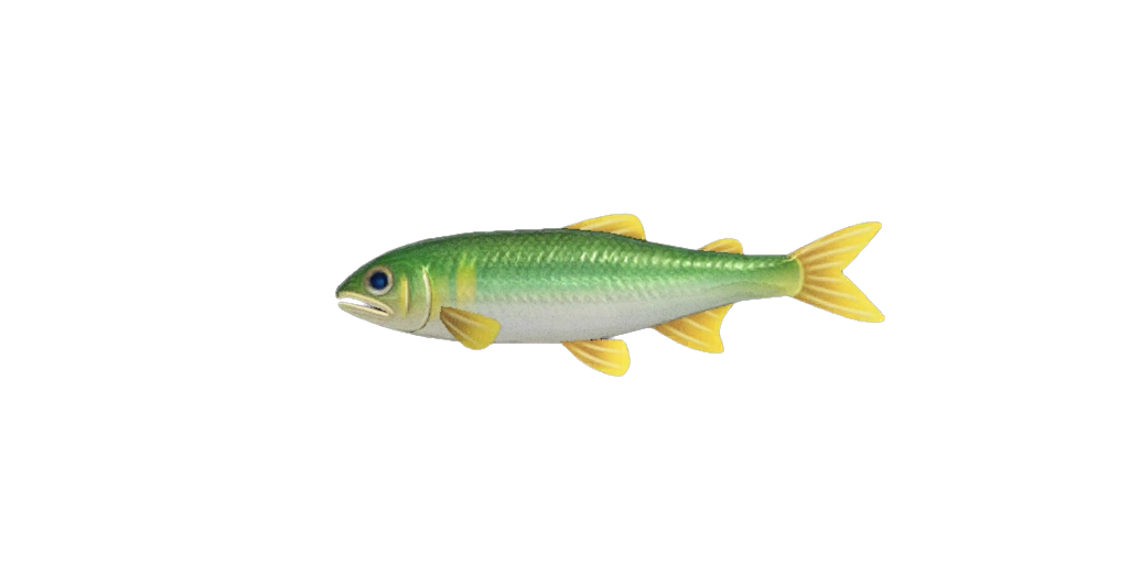 Poisosn Ayu Ã  pÃªcher en janvier.