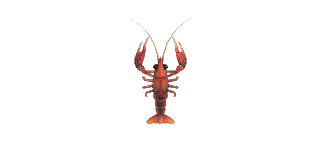 Une Ã©crevisse dans Animal Crossing New Horizons sur Nintendo Switch 2.