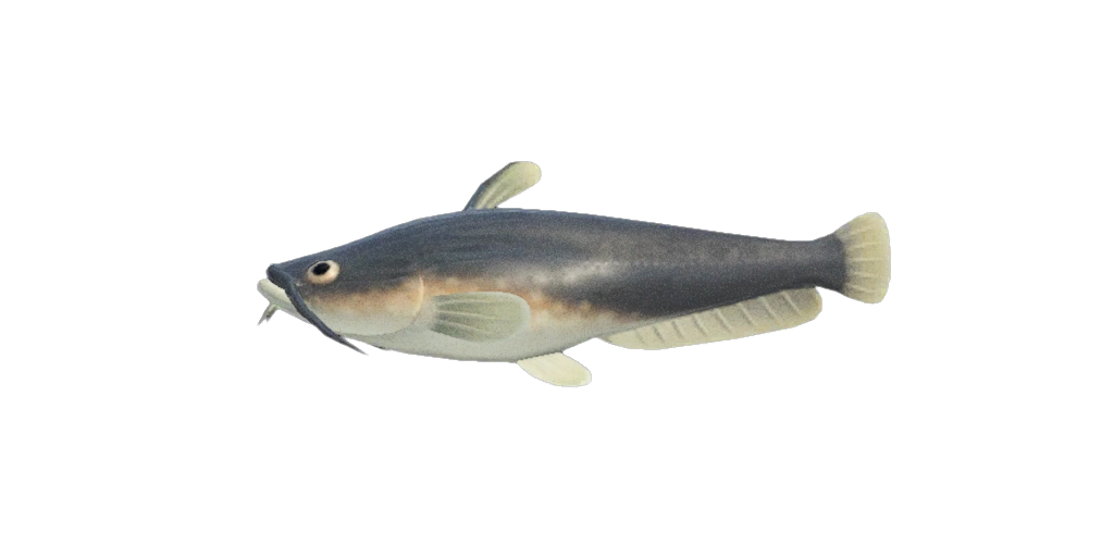 Le silure est dans Animal Crossing sur Nintendo Switch 2.