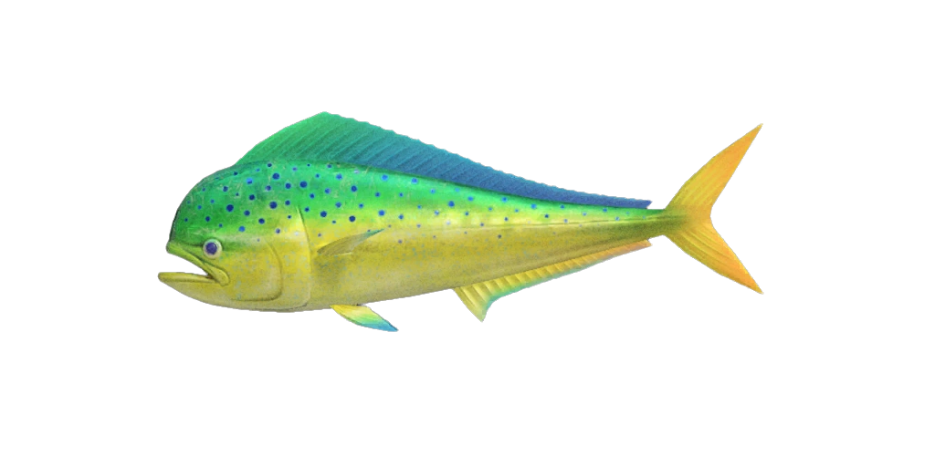 Le coryphène est dans Animal Crossing New Horizons. Le coryphène est dans Animal Crossing New Horizons.