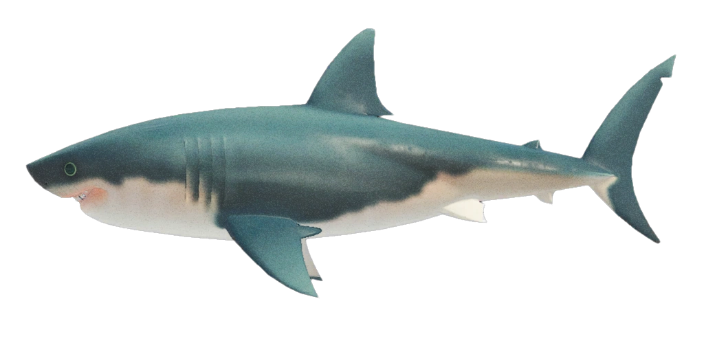 Le grand requin est un poisson disponible dans Animal Crossing New Horizons. Le grand requin est un poisson disponible dans Animal Crossing New Horizons.