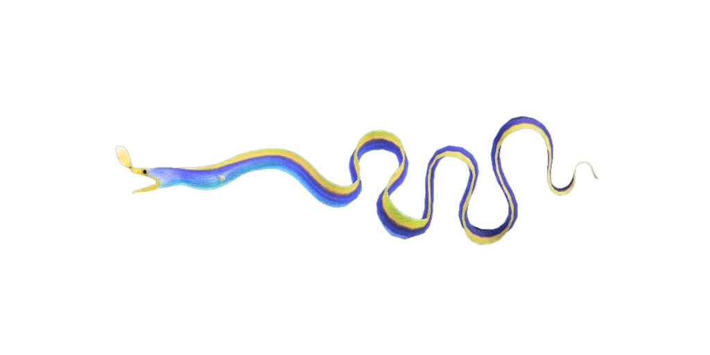 La murène ruban bleu est dans AC New Horizons. La murène ruban bleu est dans AC New Horizons.