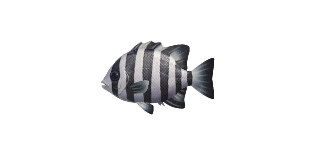 Scarus, renommÃ© Ishidai, dans ACNH.