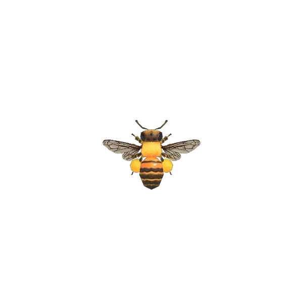 Abeille naine dans Animal Crossing New Horizons. Abeille naine dans Animal Crossing New Horizons.