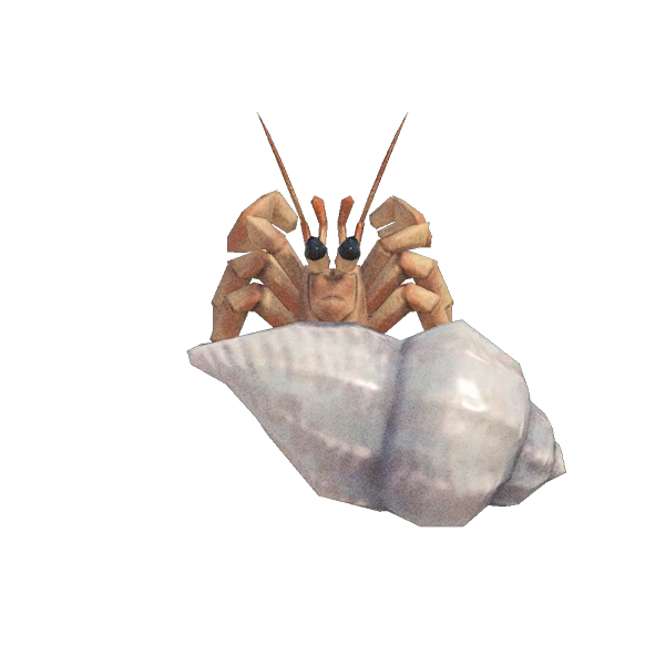 Bernard-lâermite.