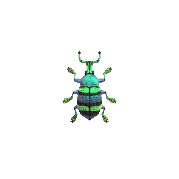 Charançon bleu dans AC New Horizons sur Switch et Nintendo Switch 2. Charançon bleu dans AC New Horizons sur Switch et Nintendo Switch 2.