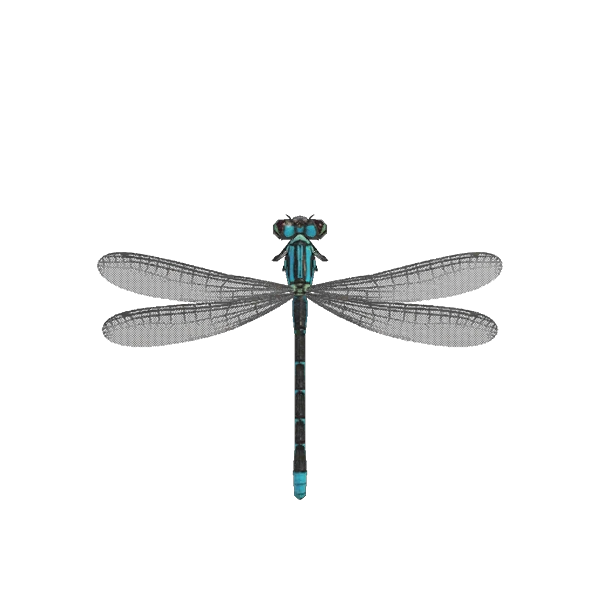 Animal Crossing New Horizons : Demoiselle.