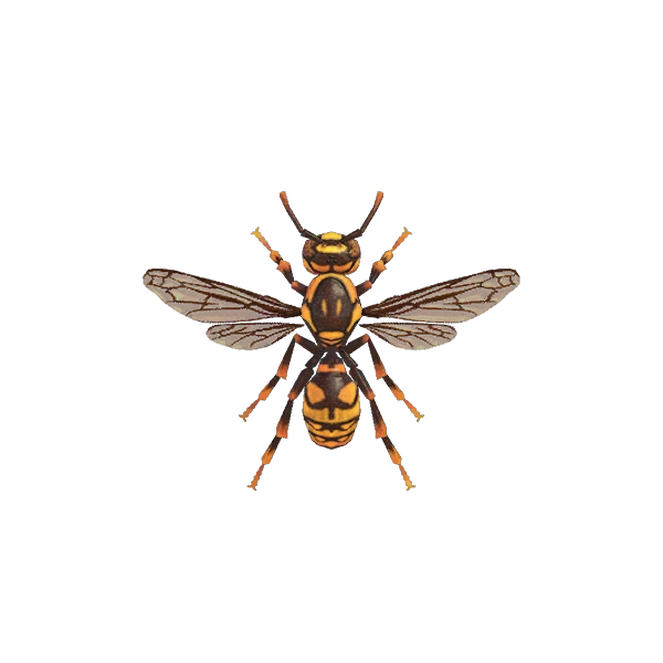 Attention à la guêpe dans ACNH. Attention à la guêpe dans ACNH.