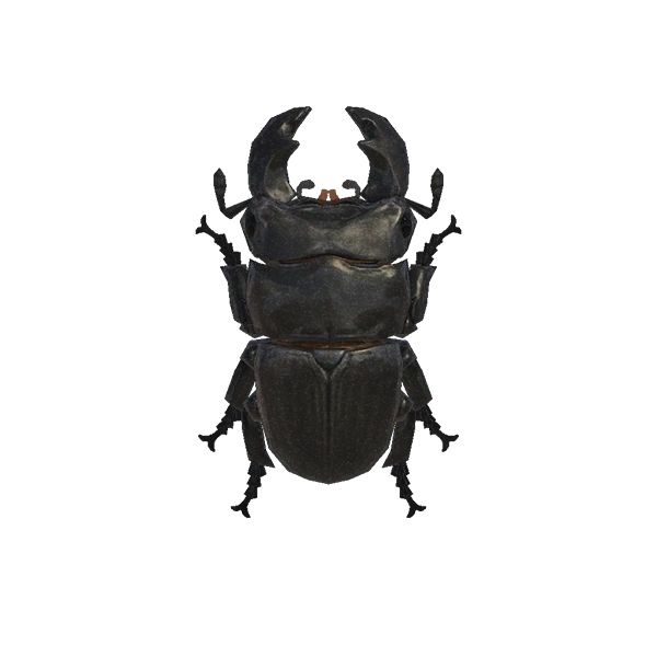 Lucane cerf-volant à attraper dans New Horizons sur Switch. Lucane cerf-volant à attraper dans New Horizons sur Switch.