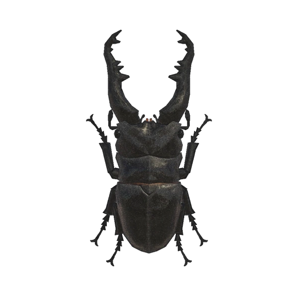 Une lucane girafe dans Animal Crossing New Horizons. Une lucane girafe dans Animal Crossing New Horizons.