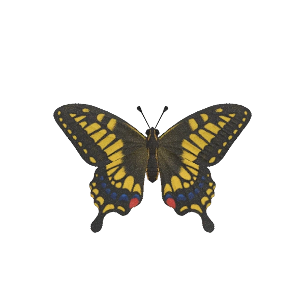 Le papillon machaon d'AC New Horizons. Le papillon machaon d'AC New Horizons.