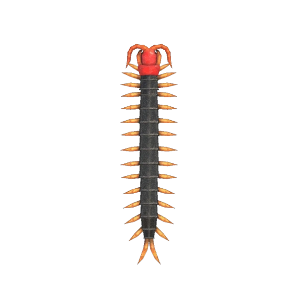 Un mille-pattes dans ACNH sur les consoles Nintendo Switch. Un mille-pattes dans ACNH sur les consoles Nintendo Switch.