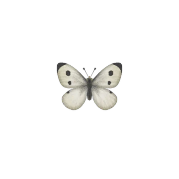 Piéride de la rave dans Animal Crossing New Horizons. Piéride de la rave dans Animal Crossing New Horizons.