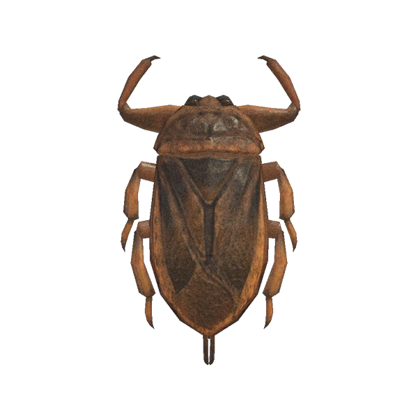 Une Punaise dâeau geÌante dans AC New Horizons. Une Punaise dâeau geÌante dans AC New Horizons.