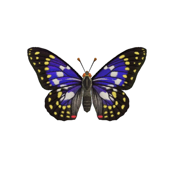 Sasakia charonda dans Animal Crossing.