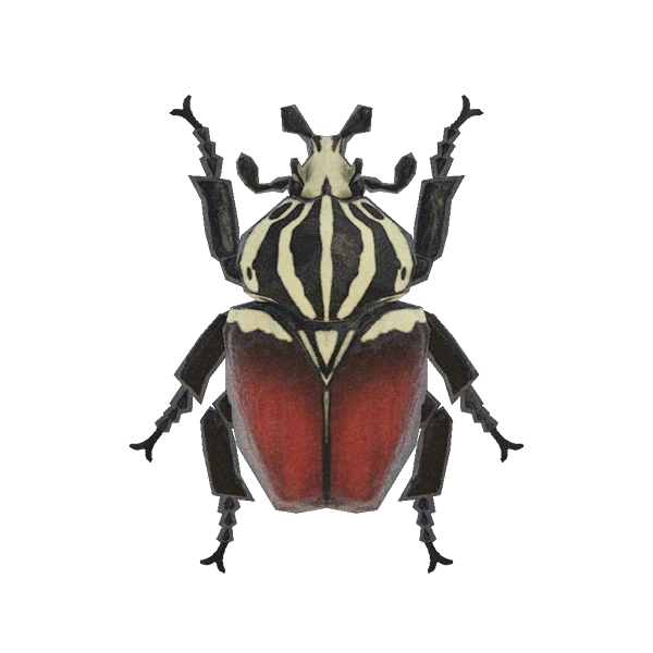 Le scarabÃ©e Goliath d'AC New Horizons sur Switch 1 et Switch 2.