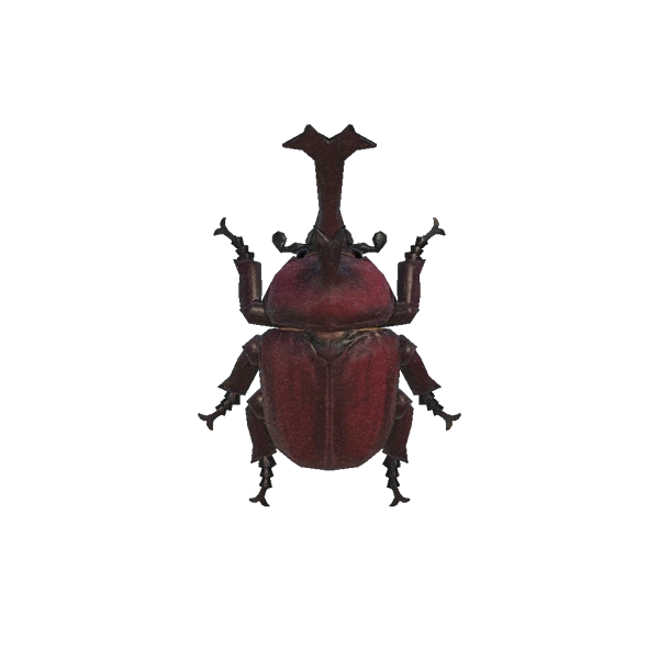 Un scarabÃ©e kabuto Ã  attraper dans ACNH.