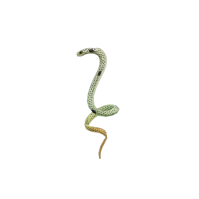 Anguille de jardin Ã  attraper en plongÃ©e dans ACNH.