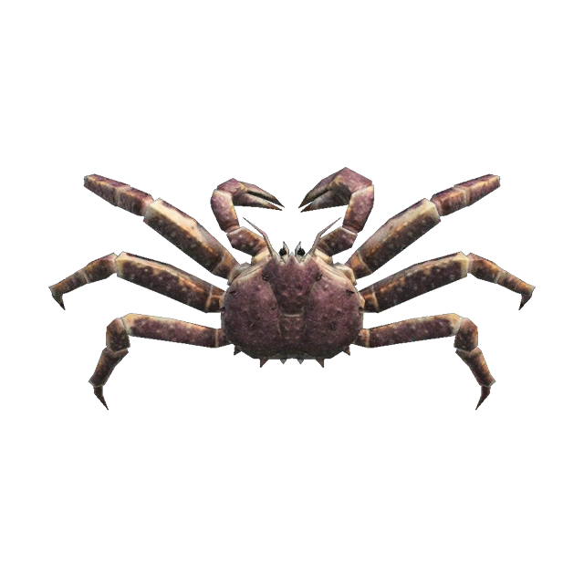 Un crabe royal dans New Horizons sur Switch. Un crabe royal dans New Horizons sur Switch.