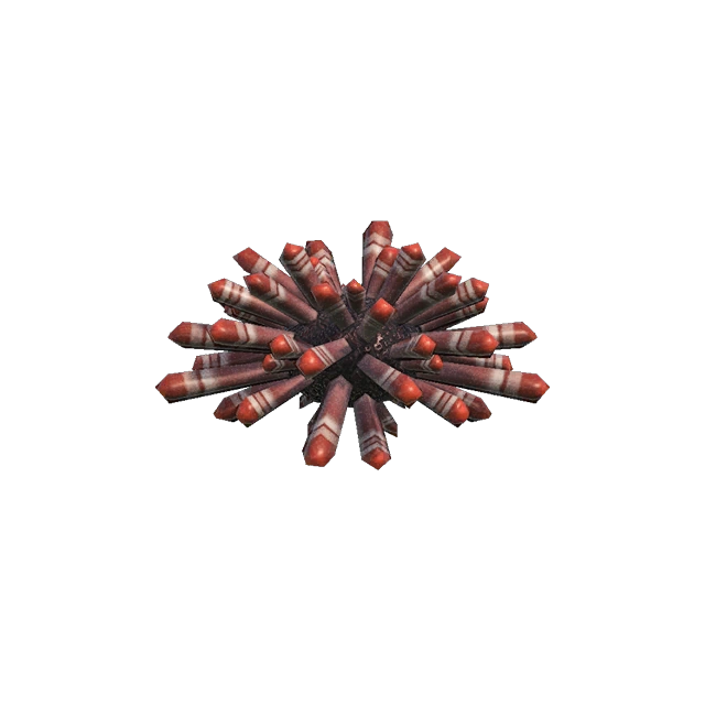 L'oursin crayon d'ACNH.