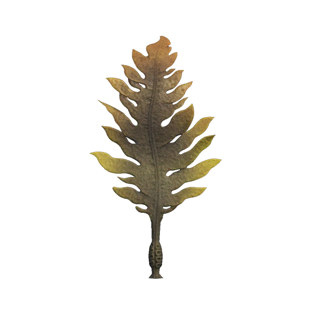 Le wakame fait partie des créatures marine d'ACNH. Le wakame fait partie des créatures marine d'ACNH.