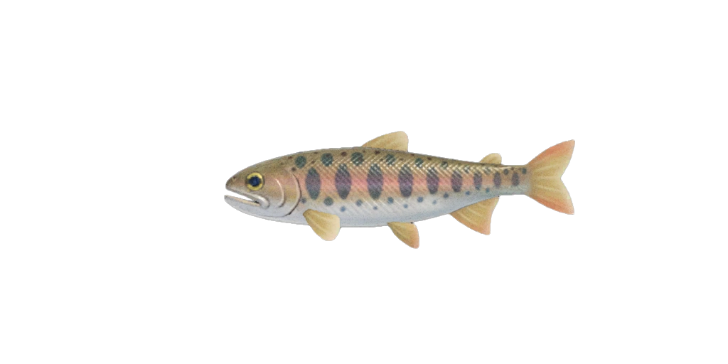 Le saumon masou d'Animal Crossing sur Nintendo Switch 2. Le saumon masou d'Animal Crossing sur Nintendo Switch 2.